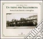 Un treno per Vallombrosa. Storia di una ferrovia a cremagliera