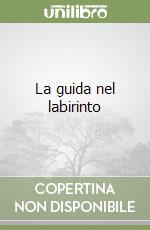 La guida nel labirinto