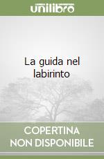 La guida nel labirinto libro