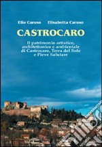 Castrocaro. Il patrimonio artistico, architettonico e ambientale di Castrocaro, terra del sole e pieve salutare libro