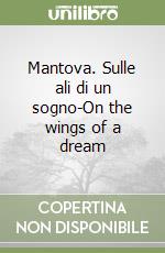 Mantova. Sulle ali di un sogno-On the wings of a dream libro