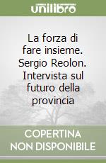 La forza di fare insieme. Sergio Reolon. Intervista sul futuro della provincia libro