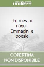 En mès ai nùgui. Immagini e poesie