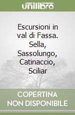 Escursioni in val di Fassa. Sella, Sassolungo, Catinaccio, Sciliar libro