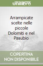 Arrampicate scelte nelle piccole Dolomiti e nel Pasubio