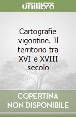 Cartografie vigontine. Il territorio tra XVI e XVIII secolo libro