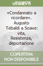 «Condannato a ricordare». Augusto Tebaldi a Soave: vita, Resistenza, deportazione libro