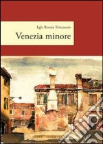 Venezia minore libro