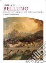 Storia di Belluno. Dalla preistoria all'epoca contemporanea libro