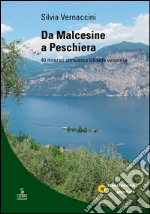 Da Malcesine a Peschiera. 40 itinerari attraverso il Garda veronese libro