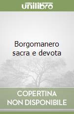 Borgomanero sacra e devota libro