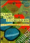 Un sasso, un orso e un chicco di riso. Perché raccontare le fiabe ai nostri figli libro di Brasioli Alberto