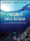 I segreti dell`acqua. L`opera scientifica di Giorgio Piccardi