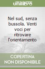 Nel sud, senza bussola. Venti voci per ritrovare l'orientamento libro