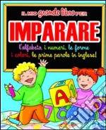 Il Mio grande libro per imparare libro