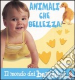 Animali che bellezza! libro