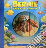 Bernie cerca casa libro