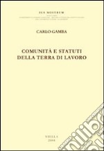 Comunità e statuti della Terra di Lavoro libro