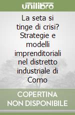 La seta si tinge di crisi? Strategie e modelli imprenditoriali nel distretto industriale di Como libro