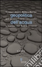 Geopolitica dell'acqua. Gli scenari internazionali e il caso del Medio Oriente libro