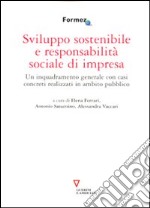 Sviluppo sostenibile e responsabilità sociale di impresa. Un inquadramento generale con casi concreti realizzati in ambito pubblico libro