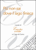 Più non sai dove il lago finisca. I poeti di «Europa in versi» e il lago di Como libro