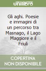 Gli aghi. Poesie e immagini di un percorso tra Masnago, il Lago Maggiore e il Friuli libro