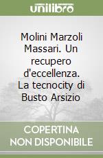 Molini Marzoli Massari. Un recupero d'eccellenza. La tecnocity di Busto Arsizio libro