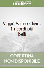 Viggiù-Saltrio-Clivio. I ricordi più belli libro