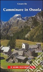 Camminare in Ossola. Ediz. illustrata libro