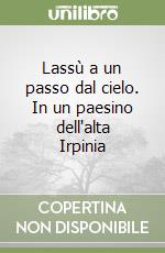 Lassù a un passo dal cielo. In un paesino dell'alta Irpinia libro