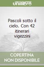 Pascoli sotto il cielo. Con 42 itinerari vigezzini libro