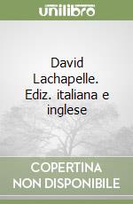 David Lachapelle. Ediz. italiana e inglese libro