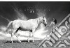 Italian horse protection. Essere. Calendario 2021 libro