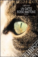 Un gatto rosso mattone libro