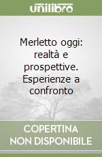 Merletto oggi: realtà e prospettive. Esperienze a confronto libro