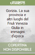 Gorizia. La sua provincia e altri luoghi del Friuli Venezia Giulia in immagini d'epoca libro