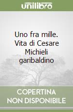 Uno fra mille. Vita di Cesare Michieli garibaldino