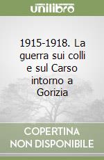 1915-1918. La guerra sui colli e sul Carso intorno a Gorizia libro