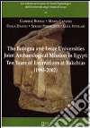 The restoration of egyptian and greek papyri housed in Cairo egyptian museum (1997-2000) libro