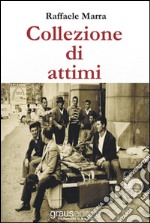 Collezione di attimi libro