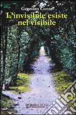 L'invisibile esiste nel visibile