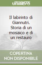 Il labirinto di Giannutri. Storia di un mosaico e di un restauro libro