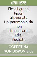 Piccoli grandi tesori alluvionati. Un patrimonio da non dimenticare. Ediz. illustrata libro