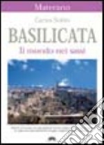 Basilicata. Il mondo nei sassi libro