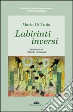 Labirinti inversi