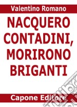 Nacquero contadini, morirono briganti. Storie del Sud dopo l'Unità dimenticate negli archivi libro