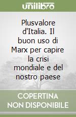 Plusvalore d'Italia. Il buon uso di Marx per capire la crisi mondiale e del nostro paese libro