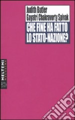 Che fine ha fatto lo stato-nazione? libro