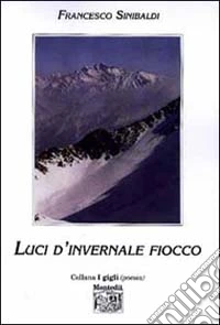 Luci d'invernale fiocco